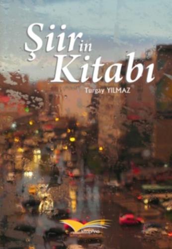 Şiirin Kitabı | Kitap Ambarı