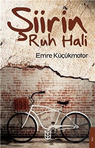 Şiirin Ruh Hali | Kitap Ambarı