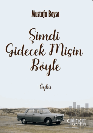 Şimdi Gidecek Misin Böyle | Kitap Ambarı