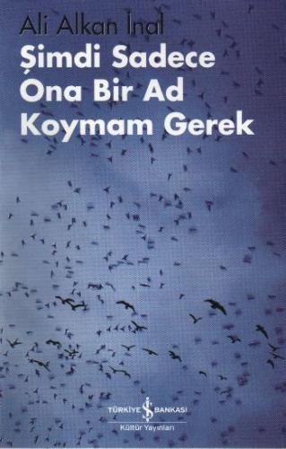 Şimdi Sadece Ona Bir Ad Koymam Gerek | Kitap Ambarı