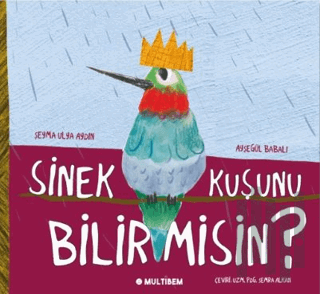 Sinek Kuşunu Bilir Misin? | Kitap Ambarı