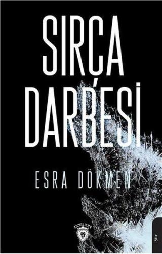 Sırça Darbesi | Kitap Ambarı