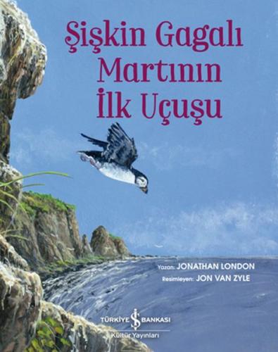 Şişkin Gagalı Martının İlk Uçuşu | Kitap Ambarı