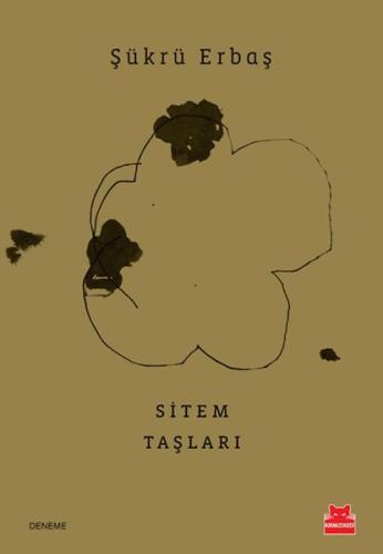 Sitem Taşları | Kitap Ambarı