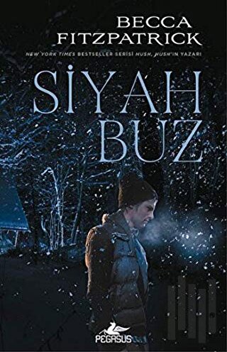 Siyah Buz (Ciltli) | Kitap Ambarı