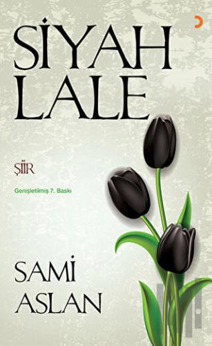 Siyah Lale | Kitap Ambarı