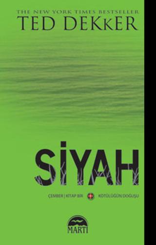 Siyah | Kitap Ambarı