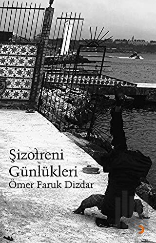 Şizofreni Günlükleri | Kitap Ambarı