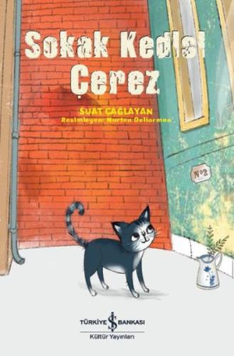 Sokak Kedisi Çerez | Kitap Ambarı