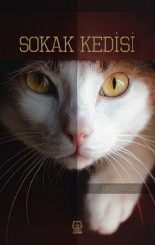 Sokak Kedisi | Kitap Ambarı