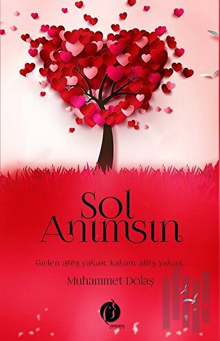 Sol Anımsın | Kitap Ambarı