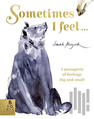 Sometimes I Feel... (Ciltli) | Kitap Ambarı