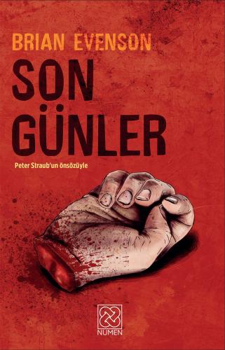 Son Günler | Kitap Ambarı