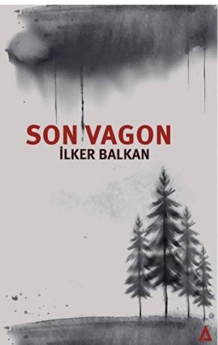 Son Vagon | Kitap Ambarı