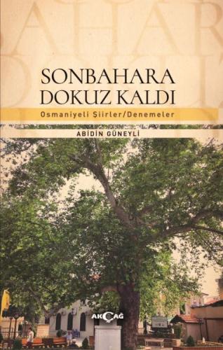 Sonbahara Dokuz Kaldı | Kitap Ambarı