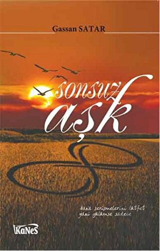 Sonsuz Aşk | Kitap Ambarı