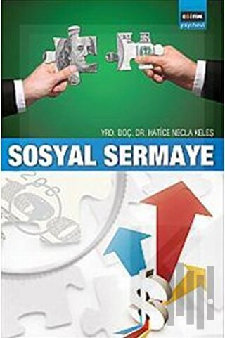 Sosyal Sermaye | Kitap Ambarı