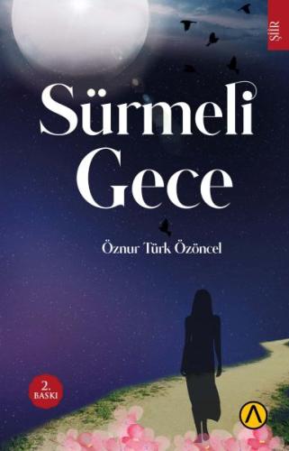 Sürmeli Gece | Kitap Ambarı