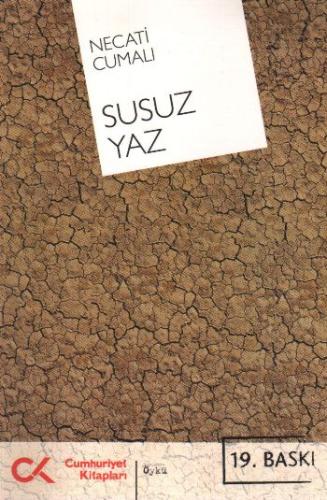 Susuz Yaz | Kitap Ambarı