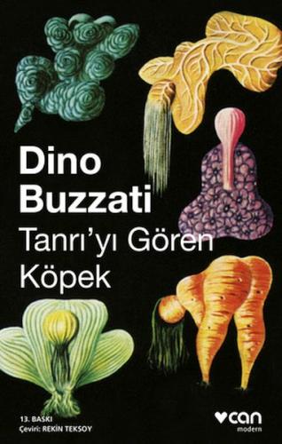 Tanrıyı Gören Köpek | Kitap Ambarı