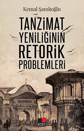 Tanzimat Yeniliğinin Retorik Problemleri | Kitap Ambarı