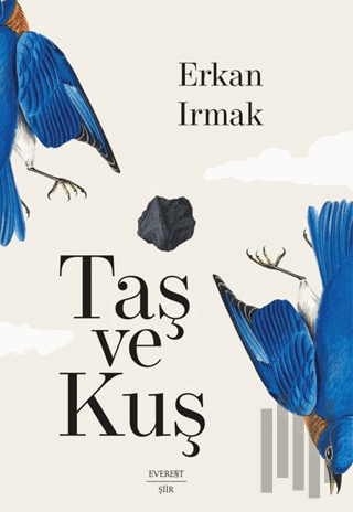 Taş ve Kuş | Kitap Ambarı