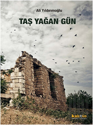 Taş Yağan Gün | Kitap Ambarı