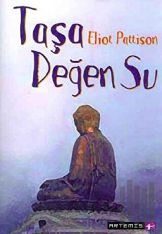 Taşa Değen Su | Kitap Ambarı