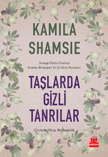 Taşlarda Gizli Tanrılar | Kitap Ambarı