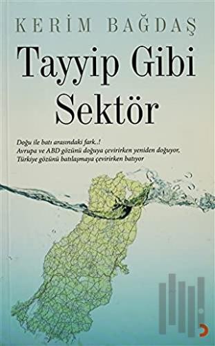 Tayyip Gibi Sektör | Kitap Ambarı