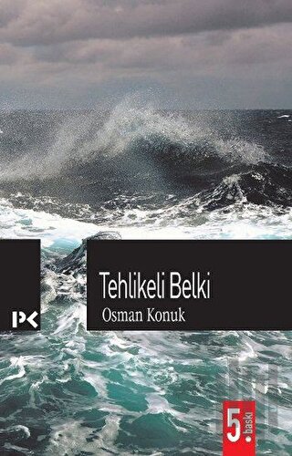 Tehlikeli Belki | Kitap Ambarı