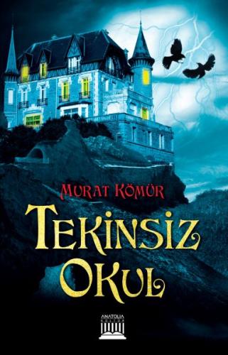 Tekinsiz Okul | Kitap Ambarı