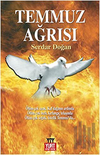 Temmuz Ağrısı | Kitap Ambarı