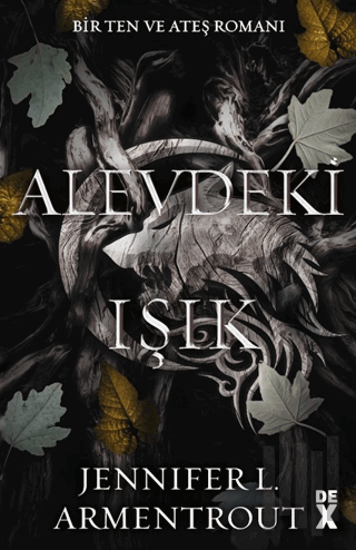 Ten ve Ateş 2: Alevdeki Işık | Kitap Ambarı