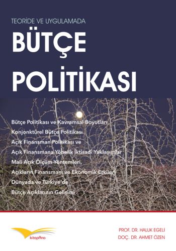 Teoride ve Uygulamada Bütçe Politikası | Kitap Ambarı