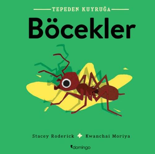 Böcekler - Tepeden Kuyruğa | Kitap Ambarı