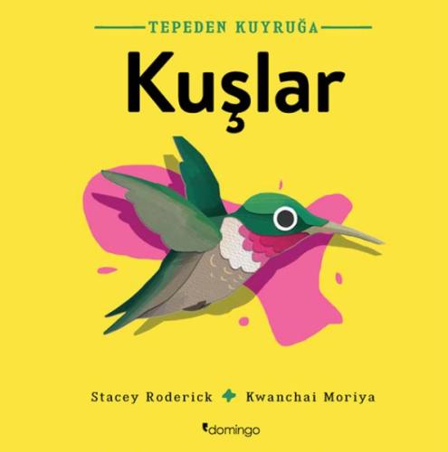 Kuşlar - Tepeden Kuyruğa | Kitap Ambarı