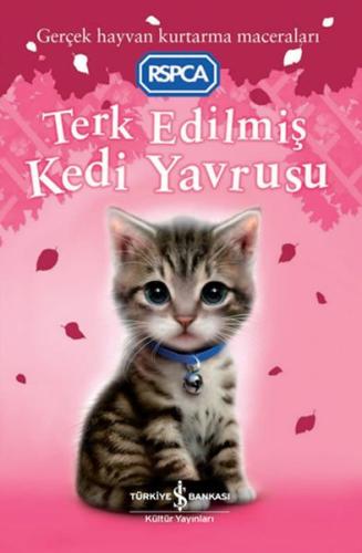 Terk Edilmiş Kedi Yavrusu | Kitap Ambarı