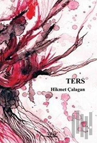 Ters | Kitap Ambarı