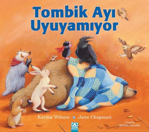 Tombik Ayı Uyuyamıyor | Kitap Ambarı