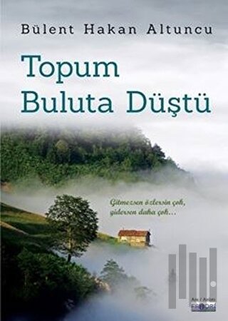 Topum Buluta Düştü | Kitap Ambarı