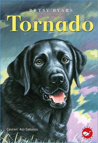 Tornado | Kitap Ambarı