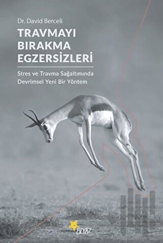 Travmayı Bırakma Egzersizleri | Kitap Ambarı