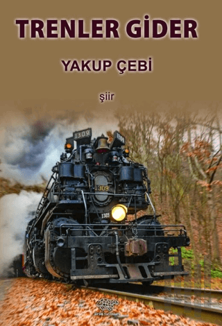 Trenler Gider | Kitap Ambarı