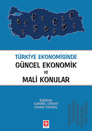 Türkiye Ekonomisinde Güncel Ekonomik ve Mali Konular | Kitap Ambarı