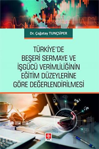 Türkiye'de Beşeri Sermaye ve İşgücü Verimliliğinin Eğitim Düzeylerine 