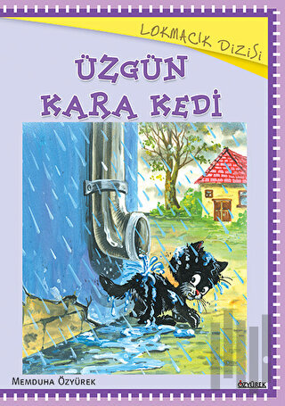 Üzgün Kara Kedi | Kitap Ambarı