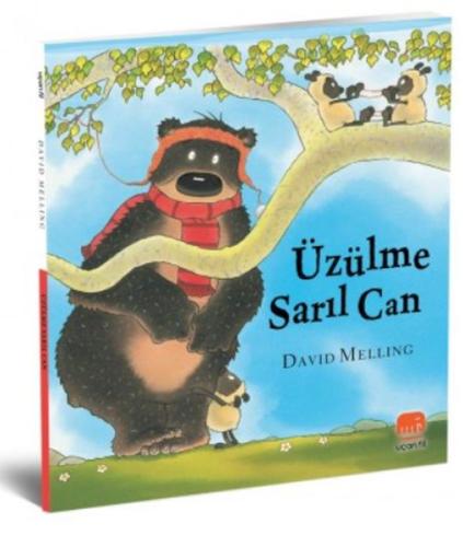 Üzülme Sarıl Can (Ciltli) | Kitap Ambarı