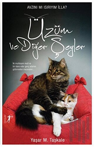 Üzüm ve Diğer Şeyler | Kitap Ambarı