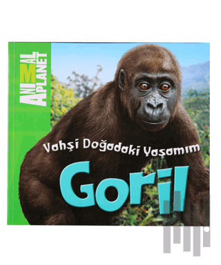 Vahşi Doğadaki Yaşamım: Goril | Kitap Ambarı